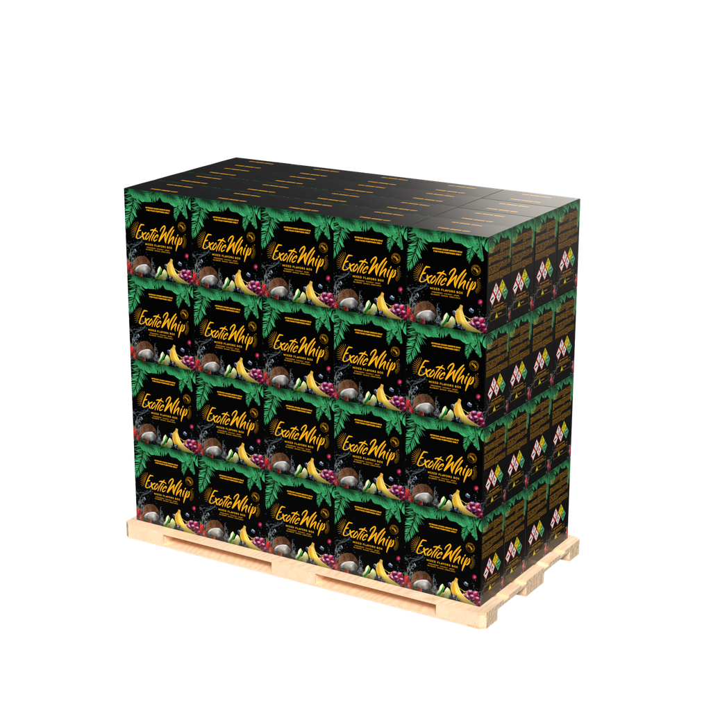 Exotic Whip - Scatola Gusti Misti - 6 Bombole da 670gr
